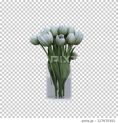 decorative flowers and plants for the interior, isolated on transparent background, 3D illustration, cg render decorative flowers and plants for the interior, isolated on transparent background, 3D illustration, cg render 127670382