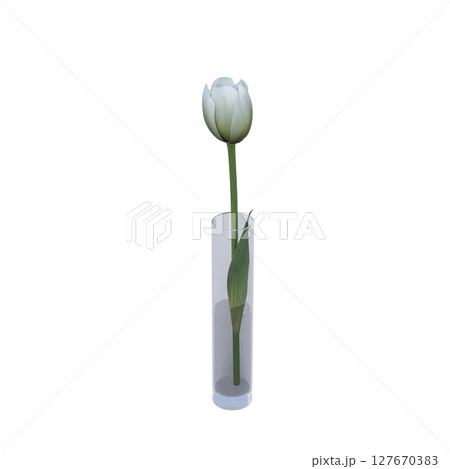 decorative flowers and plants for the interior, isolated on transparent background, 3D illustration, cg render decorative flowers and plants for the interior, isolated on transparent background, 3D illustration, cg render 127670383