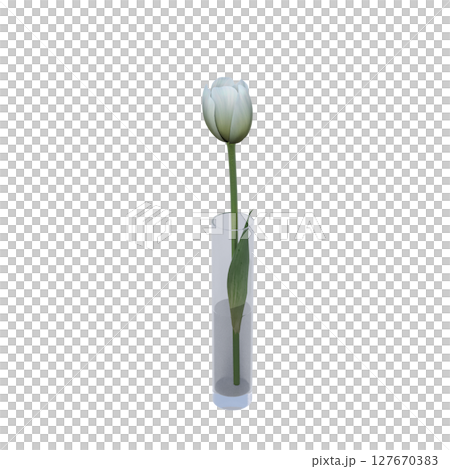decorative flowers and plants for the interior, isolated on transparent background, 3D illustration, cg render decorative flowers and plants for the interior, isolated on transparent background, 3D illustration, cg render 127670383