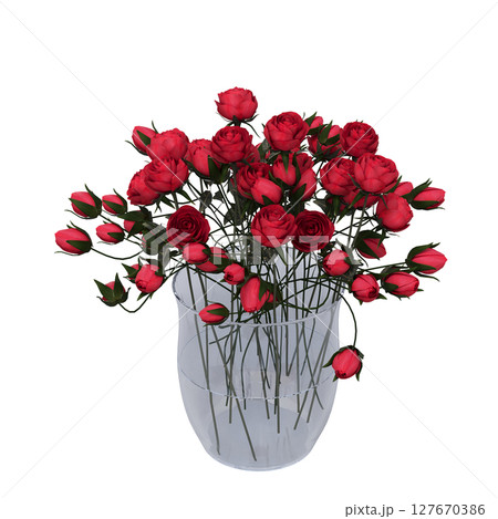 decorative flowers and plants for the interior, isolated on transparent background, 3D illustration, cg render 127670386