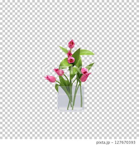 decorative flowers and plants for the interior, isolated on transparent background, 3D illustration, cg render decorative flowers and plants for the interior, isolated on transparent background, 3D illustration, cg render 127670393