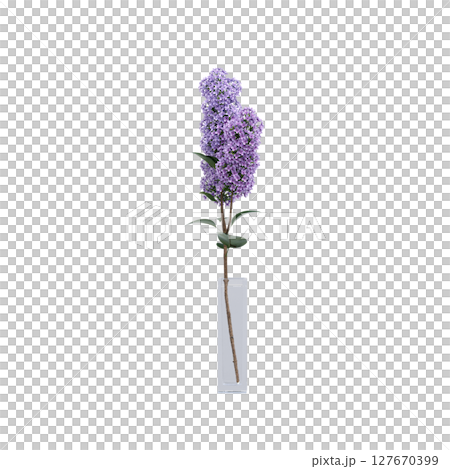 decorative flowers and plants for the interior, isolated on transparent background, 3D illustration, cg render 127670399