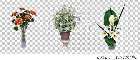 decorative flowers and plants for the interior, isolated on transparent background, 3D illustration, cg render decorative flowers and plants for the interior, isolated on transparent background, 3D illustration, cg render 127670400