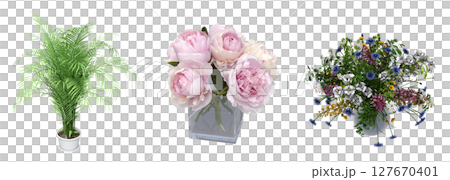 decorative flowers and plants for the interior, isolated on transparent background, 3D illustration, cg render decorative flowers and plants for the interior, isolated on transparent background, 3D illustration, cg render 127670401