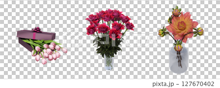 decorative flowers and plants for the interior, isolated on transparent background, 3D illustration, cg render 127670402