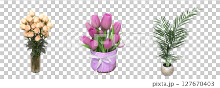 decorative flowers and plants for the interior, isolated on transparent background, 3D illustration, cg render decorative flowers and plants for the interior, isolated on transparent background, 3D illustration, cg render 127670403