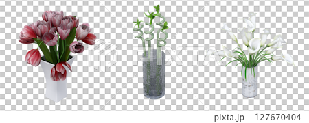 decorative flowers and plants for the interior, isolated on transparent background, 3D illustration, cg render decorative flowers and plants for the interior, isolated on transparent background, 3D illustration, cg render 127670404