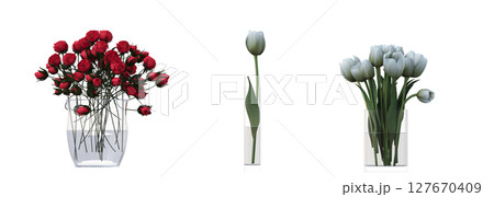 decorative flowers and plants for the interior, isolated on transparent background, 3D illustration, cg render 127670409