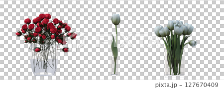 decorative flowers and plants for the interior, isolated on transparent background, 3D illustration, cg render 127670409