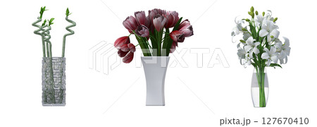 decorative flowers and plants for the interior, isolated on transparent background, 3D illustration, cg render 127670410