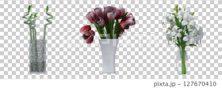 decorative flowers and plants for the interior, isolated on transparent background, 3D illustration, cg render 127670410