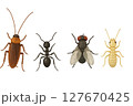 害虫 127670425