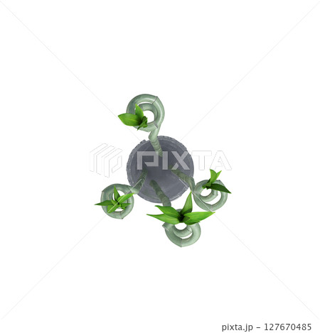 decorative flowers and plants for the interior, top view, isolated on transparent background, 3D illustration, cg render decorative flowers and plants for the interior, top view, isolated on transparent background, 3D illustration, cg render 127670485