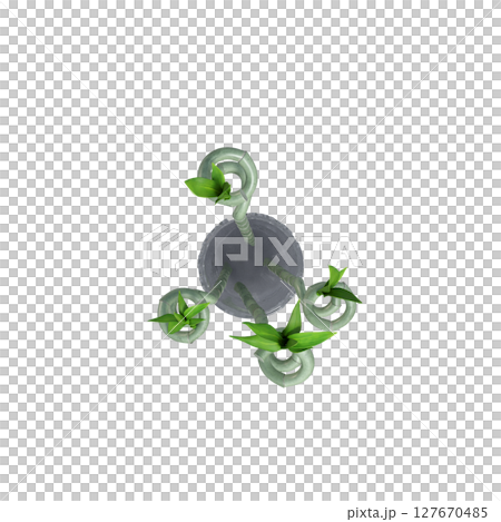decorative flowers and plants for the interior, top view, isolated on transparent background, 3D illustration, cg render decorative flowers and plants for the interior, top view, isolated on transparent background, 3D illustration, cg render 127670485
