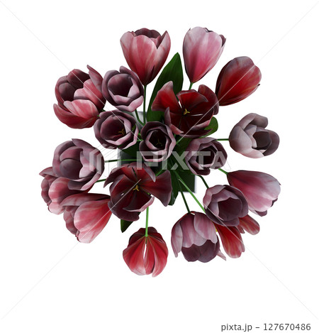 decorative flowers and plants for the interior, top view, isolated on transparent background, 3D illustration, cg render decorative flowers and plants for the interior, top view, isolated on transparent background, 3D illustration, cg render 127670486