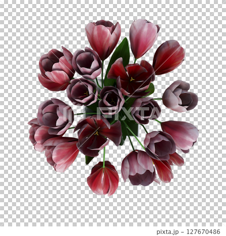 decorative flowers and plants for the interior, top view, isolated on transparent background, 3D illustration, cg render decorative flowers and plants for the interior, top view, isolated on transparent background, 3D illustration, cg render 127670486