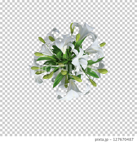 decorative flowers and plants for the interior, top view, isolated on transparent background, 3D illustration, cg render 127670487