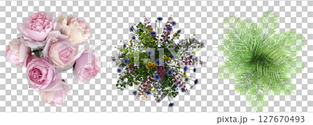 decorative flowers and plants for the interior, top view, isolated on transparent background, 3D illustration, cg render decorative flowers and plants for the interior, top view, isolated on transparent background, 3D illustration, cg render 127670493