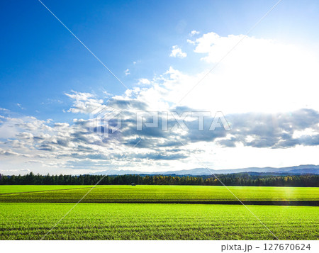 北海道美瑛町の爽やかな初秋の風景 北海道美瑛町の爽やかな初秋の風景 127670624