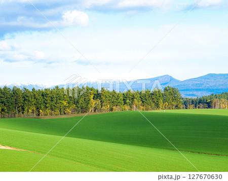 北海道美瑛町の爽やかな初秋の風景 北海道美瑛町の爽やかな初秋の風景 127670630