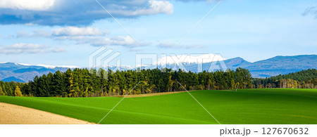 北海道美瑛町の爽やかな初秋の風景 127670632