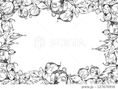 Currant gooseberry, leaves in water dew drops hand drawn in vector ink, scattered ripe garden casseille berry. Isolated border frame. Home preserves, textile, food store decor, vegan recipe cards 127670956