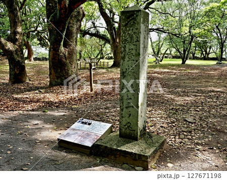 名護屋城址三ノ丸 127671198