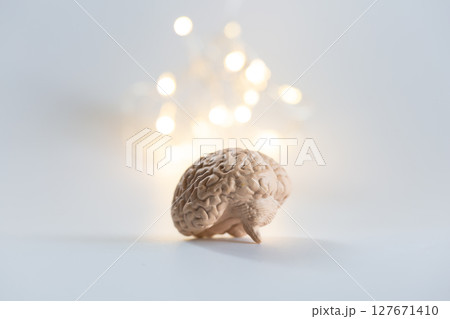 脳の模型と光 横向き ひらめき 覚醒のイメージ 脳の模型と光 横向き ひらめき 覚醒のイメージ 127671410