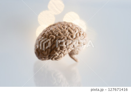 脳の模型と光 横向き ひらめき 覚醒のイメージ 127671416