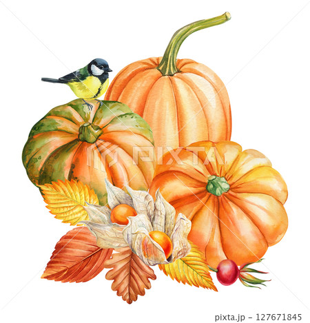 Pumpkins with tit bird physalis and autumn foliage watercolor clipart for seasonal cards Thanksgiving decor and harvest projects 127671845