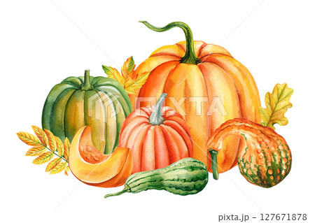 Watercolor pumpkins and gourds in orange green and yellow with fall leaves harvest thanksgiving seasonal set 127671878