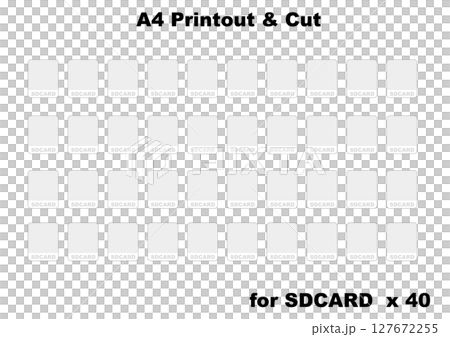 SD card label: A4 Printout format 127672255