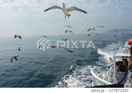 遊覧船のデッキからカモメに餌付けをする観光客 127672297