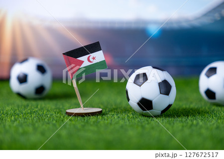 Western Sahara flag stands proudly on green grass with soccer balls, depicting international football competition and national representation Western Sahara flag stands proudly on green grass with soccer balls, depicting international football competition and national representation 127672517