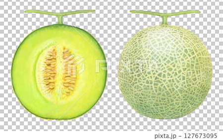 半分にカットしたマスクメロン 127673095