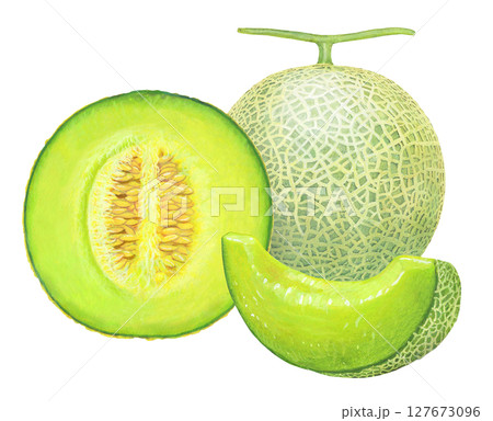 マスクメロン-半切りと四つ切り 127673096
