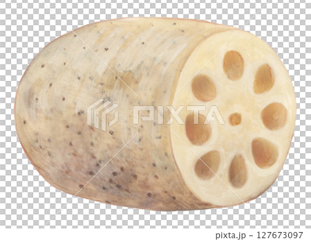 Lotus Notes 127673097