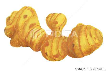 ショウガのイラスト 127673098