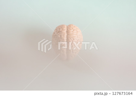 霧 モヤがかかった脳の模型 ブレインフォグ 意識混濁のイメージ 127673164