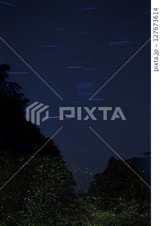 飛び交う蛍の乱舞と星の光跡のコラボ　 127673614