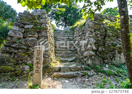 【続日本100名城】一宮城　本丸虎口石垣　徳島県徳島市 127673748