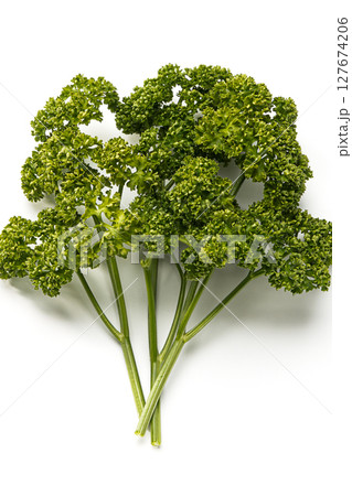 パセリ 127674206