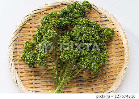 パセリ 127674210