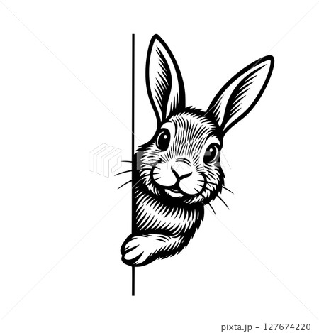 Vector illustration of an adorable rabbit peeking around a corner with a cheerful expression, Wildlife Animals. 127674220
