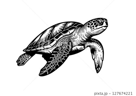 Vector illustration of a graceful sea turtle swimming, Undersea animals. 127674221