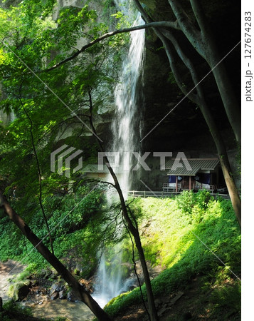 夏の棚下不動の滝・雄滝 127674283