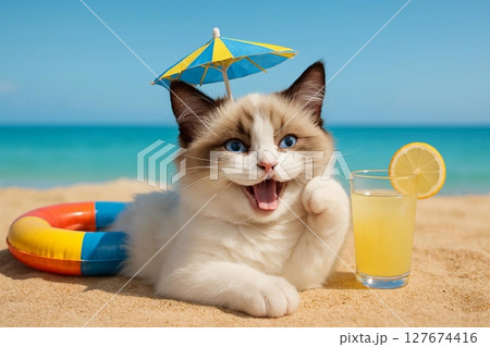 Cute fluffy cat relaxing on the beach by the sea 127674416