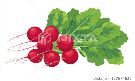 bunch of radishes with roots and leaves. 127674623