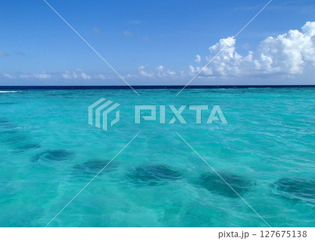 透明度抜群の青い海 127675138