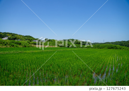 田園風景 田園風景 127675243